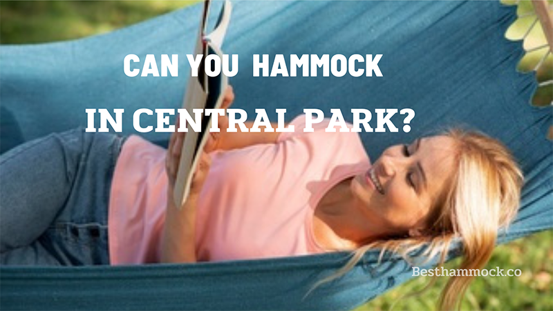 an you hammock in central park