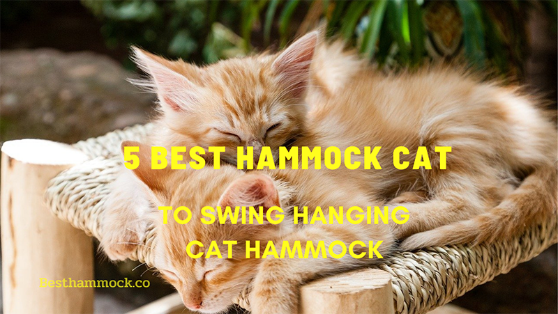 7 Best Hammock Car to Swing Hanging Cat Hammock