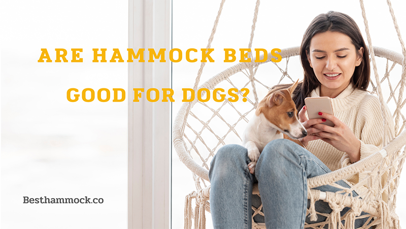 Are backseat hammocks safe for dogs