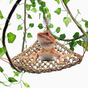 What is the best way to travel with a bearded dragon-PETWAKEY-ST Bearded Dragon Hammock