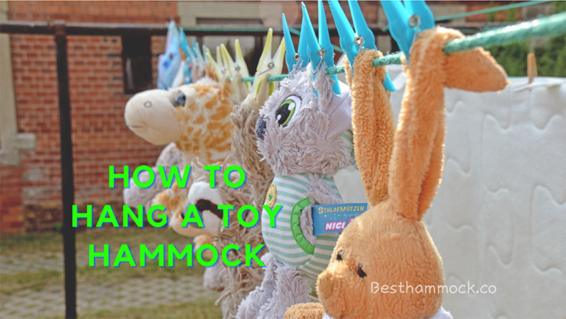 5 How to Hang a Toy Hammock
