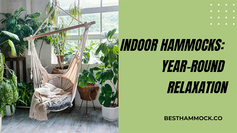 Indoor Hammocks Year-Round Relaxation