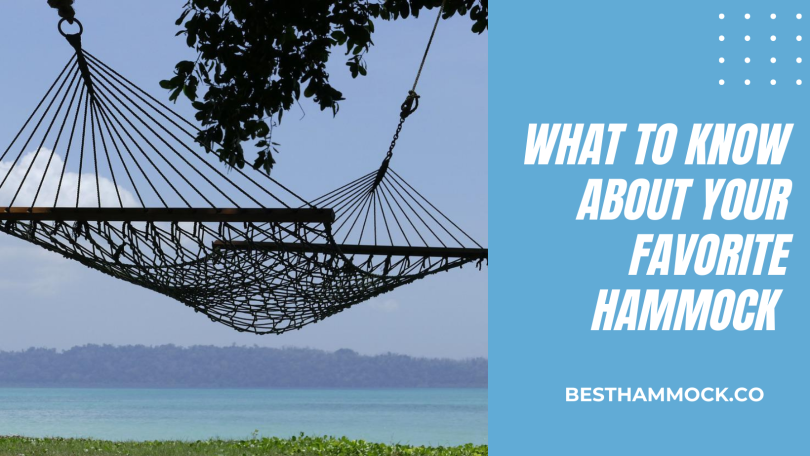 What to Know About Your Favorite Hammock